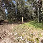 Chez Pierrot 4 Pers Vue Vallee Parking Prive Calme La Roque-Gageac